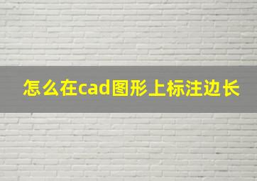 怎么在cad图形上标注边长