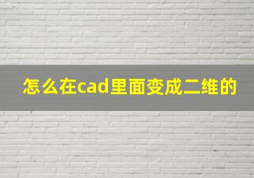 怎么在cad里面变成二维的