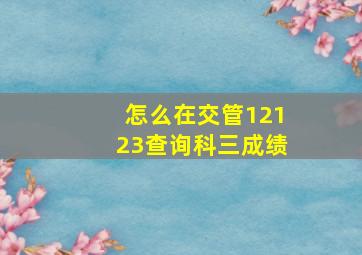 怎么在交管12123查询科三成绩