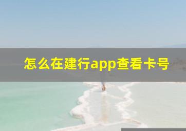 怎么在建行app查看卡号