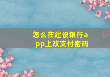 怎么在建设银行app上改支付密码