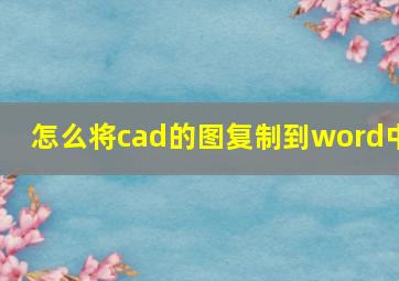 怎么将cad的图复制到word中