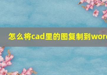 怎么将cad里的图复制到word