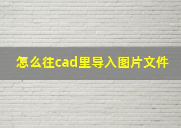 怎么往cad里导入图片文件