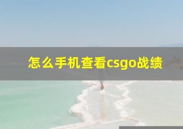 怎么手机查看csgo战绩