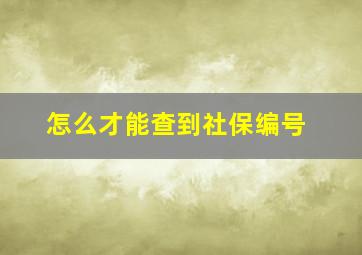 怎么才能查到社保编号