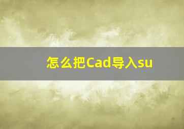 怎么把Cad导入su