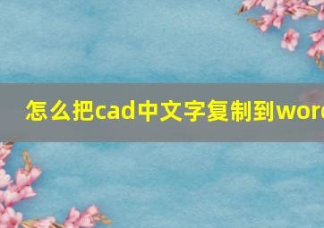 怎么把cad中文字复制到word