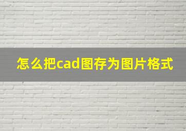 怎么把cad图存为图片格式