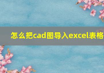 怎么把cad图导入excel表格