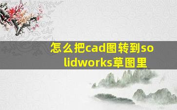 怎么把cad图转到solidworks草图里