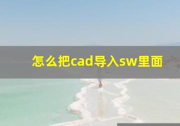 怎么把cad导入sw里面