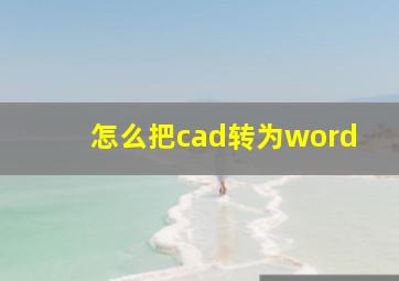 怎么把cad转为word