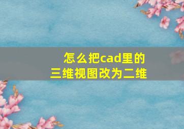 怎么把cad里的三维视图改为二维