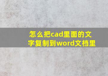 怎么把cad里面的文字复制到word文档里