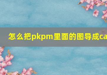 怎么把pkpm里面的图导成cad