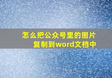 怎么把公众号里的图片复制到word文档中