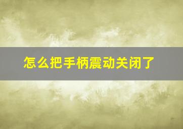 怎么把手柄震动关闭了