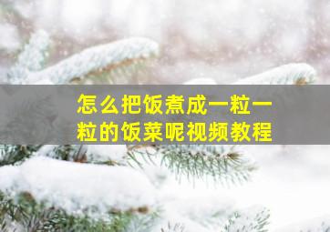 怎么把饭煮成一粒一粒的饭菜呢视频教程