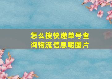 怎么搜快递单号查询物流信息呢图片