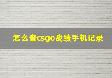 怎么查csgo战绩手机记录