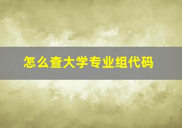 怎么查大学专业组代码