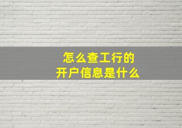 怎么查工行的开户信息是什么