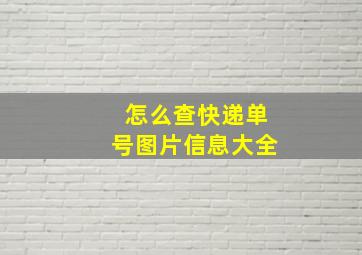 怎么查快递单号图片信息大全