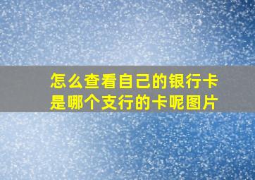 怎么查看自己的银行卡是哪个支行的卡呢图片