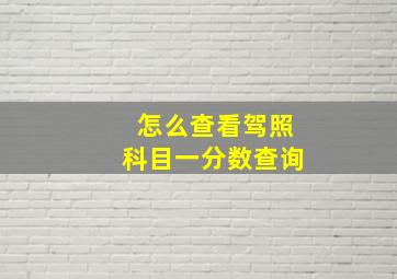 怎么查看驾照科目一分数查询