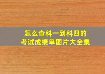 怎么查科一到科四的考试成绩单图片大全集