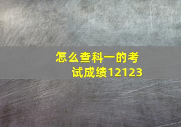 怎么查科一的考试成绩12123