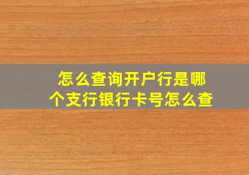 怎么查询开户行是哪个支行银行卡号怎么查