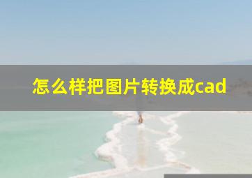 怎么样把图片转换成cad