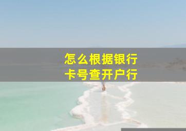 怎么根据银行卡号查开户行