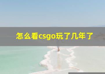 怎么看csgo玩了几年了