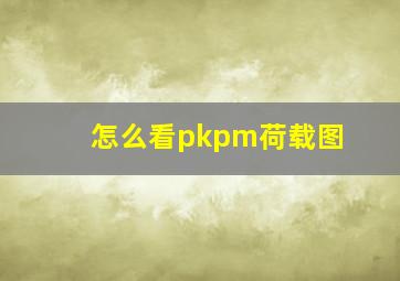 怎么看pkpm荷载图