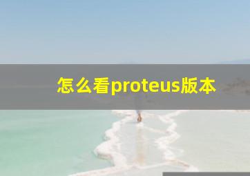 怎么看proteus版本