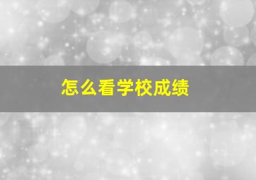 怎么看学校成绩