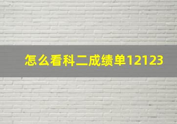 怎么看科二成绩单12123