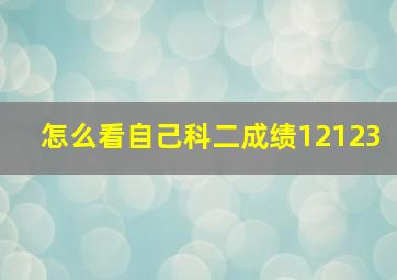 怎么看自己科二成绩12123