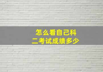 怎么看自己科二考试成绩多少