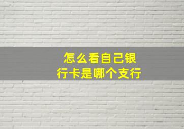 怎么看自己银行卡是哪个支行