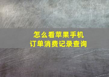 怎么看苹果手机订单消费记录查询