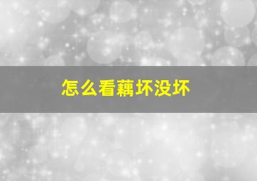 怎么看藕坏没坏