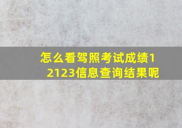 怎么看驾照考试成绩12123信息查询结果呢