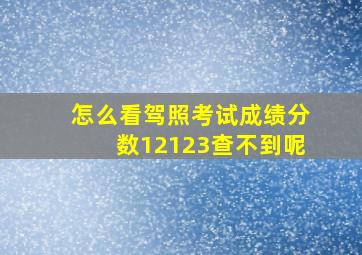 怎么看驾照考试成绩分数12123查不到呢