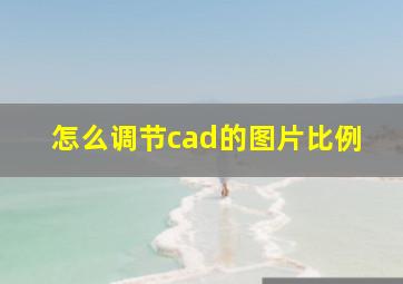 怎么调节cad的图片比例