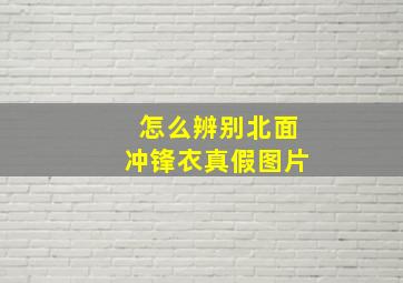 怎么辨别北面冲锋衣真假图片