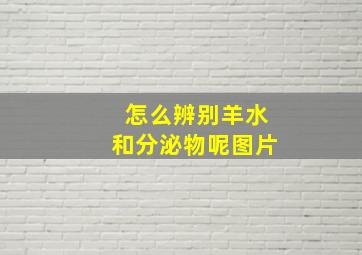 怎么辨别羊水和分泌物呢图片